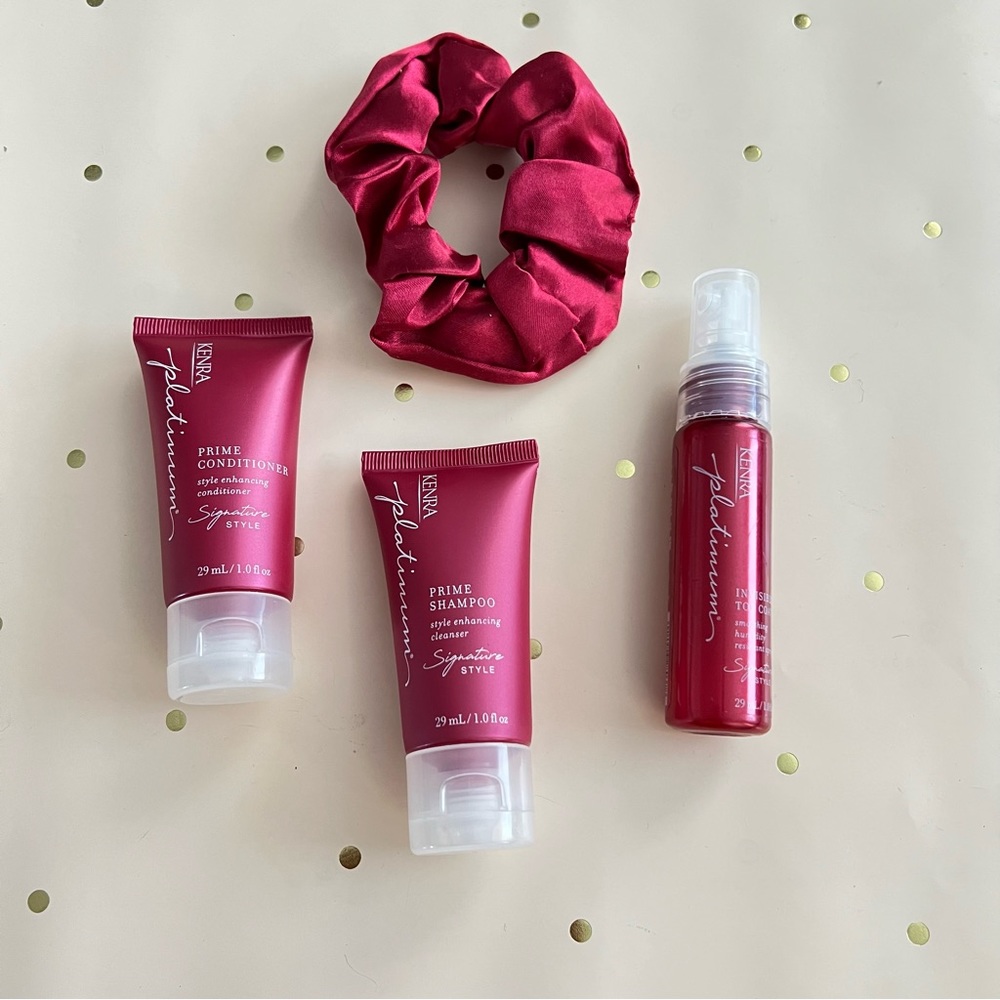 Kenra platinum travel set
